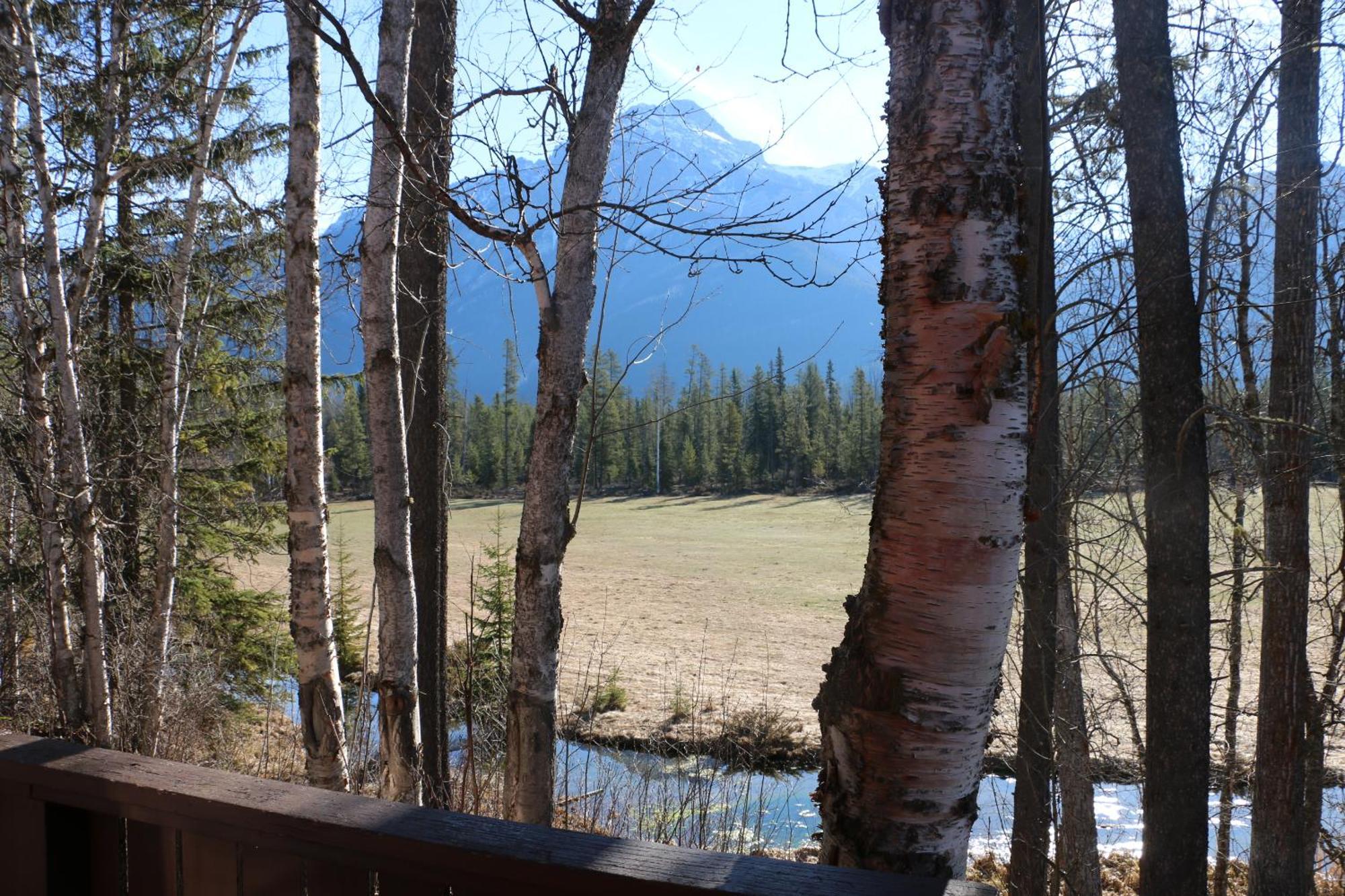 Rocky Mountain Cabins And Home Golden Ngoại thất bức ảnh